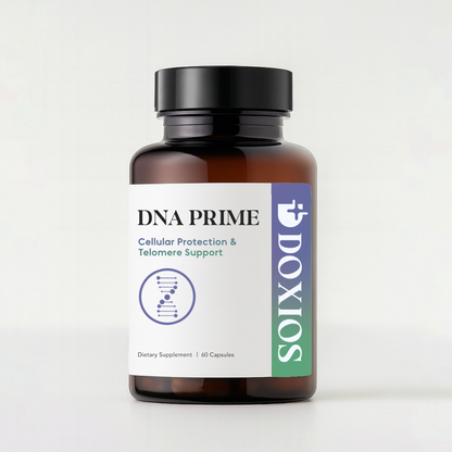 DNA PRIME