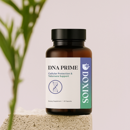 DNA PRIME